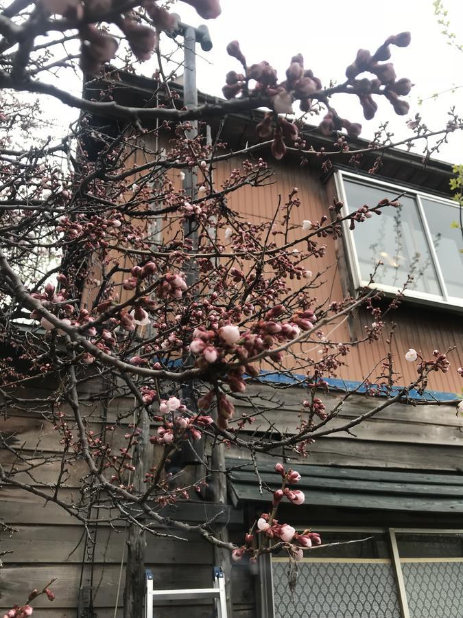 Hotel Shabby House Sapporo Exterior foto